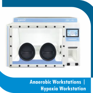 Anaerobic Workstations | Hypoxia Workstation